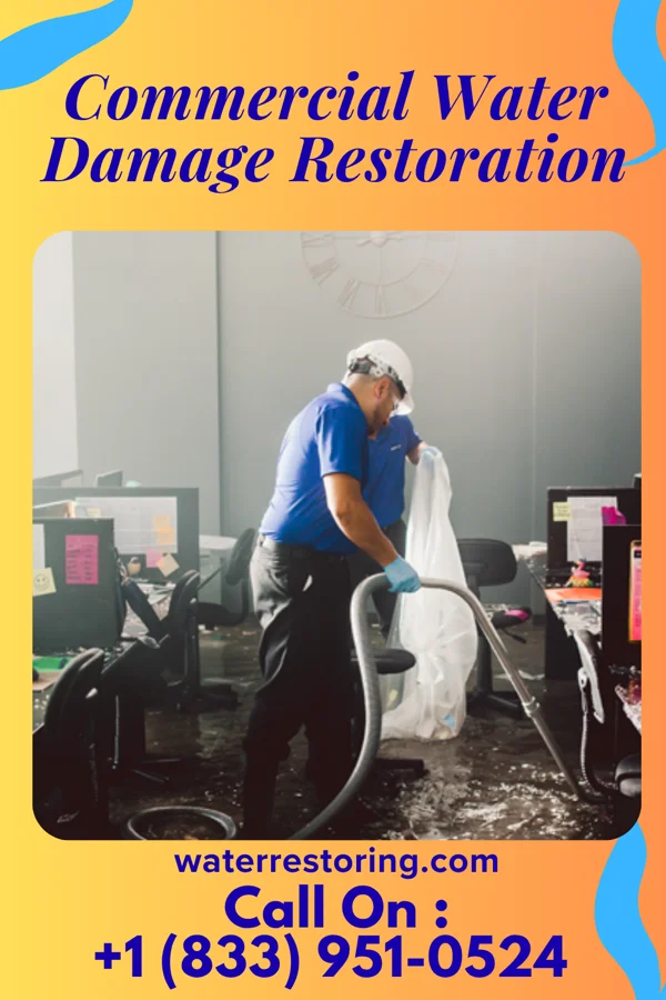 Commercial Water Damage Restoration in Mineral, IL