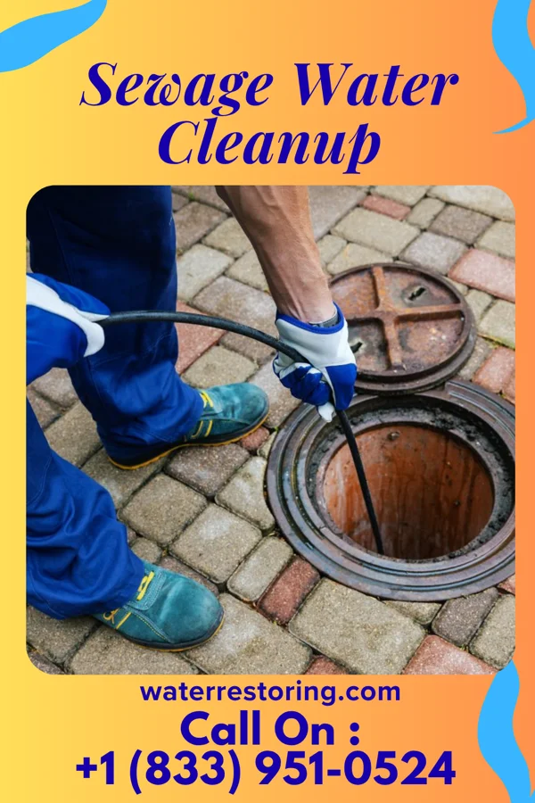 Sewage Water Cleanup in Mineral, IL